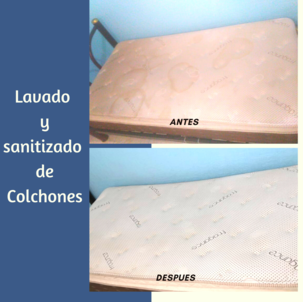 lavado de colchones y sanitizado de colchones Lavado de Colchones y sanitizado de colchones