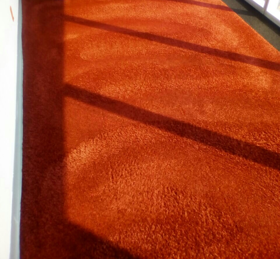 ECO CLEAN Lavado de Alfombras y Sanitizado