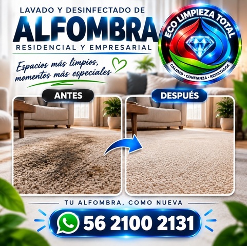 Lavado de Alfombras y Tapetes todo tipo, Limpieza Profunda